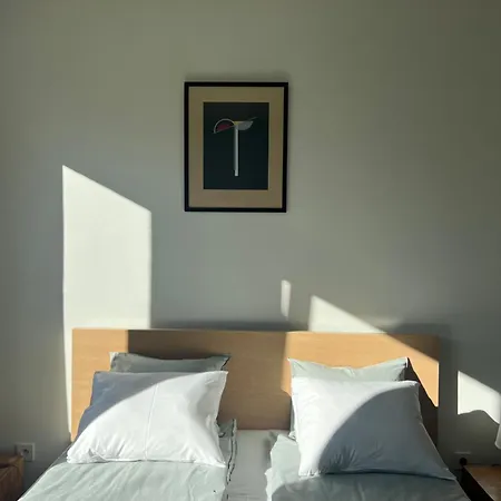 Dodohaus-3